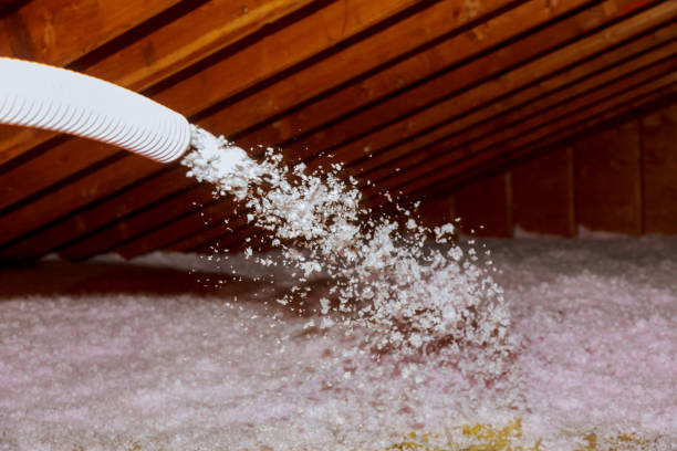 Best Insulation Inspection Services  in Alderwood Manor, WA